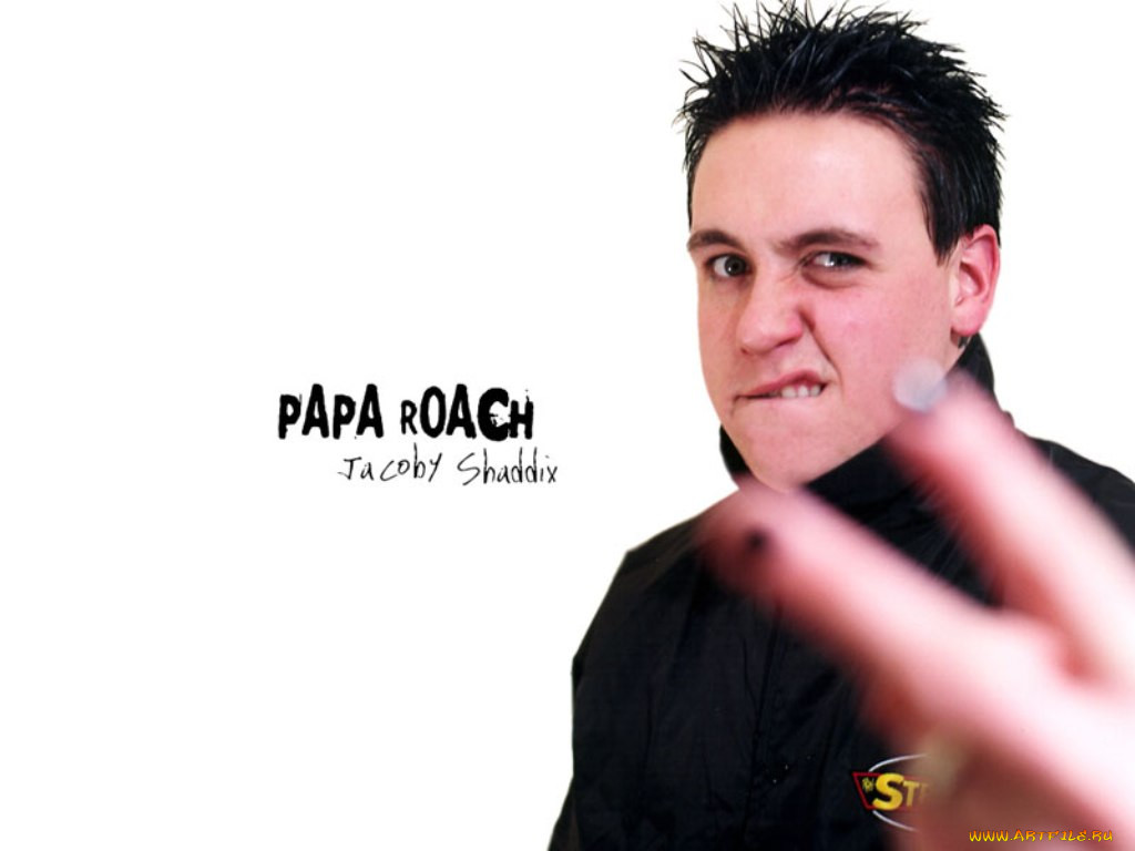 , papa, roach